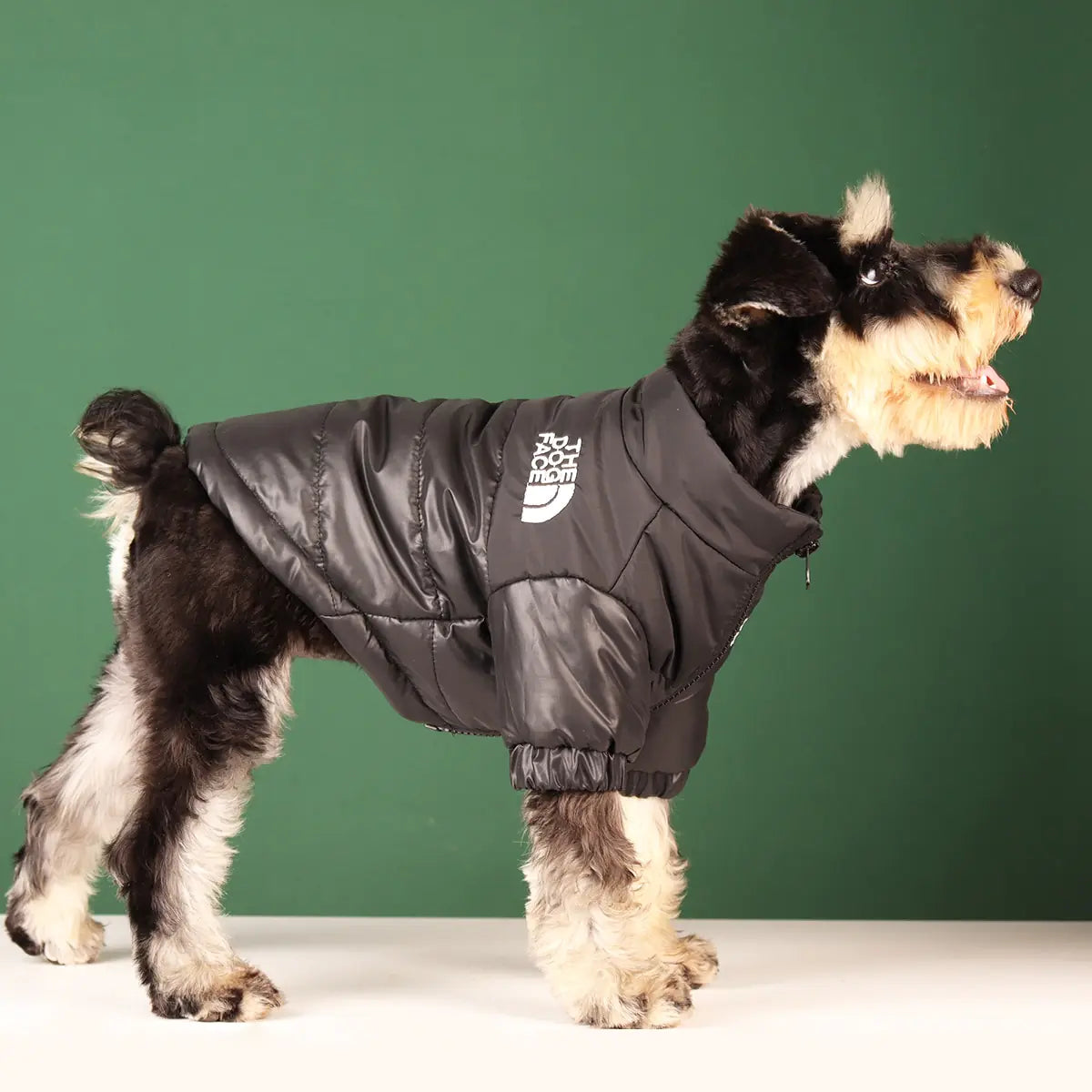 Windproof Dog Jackets