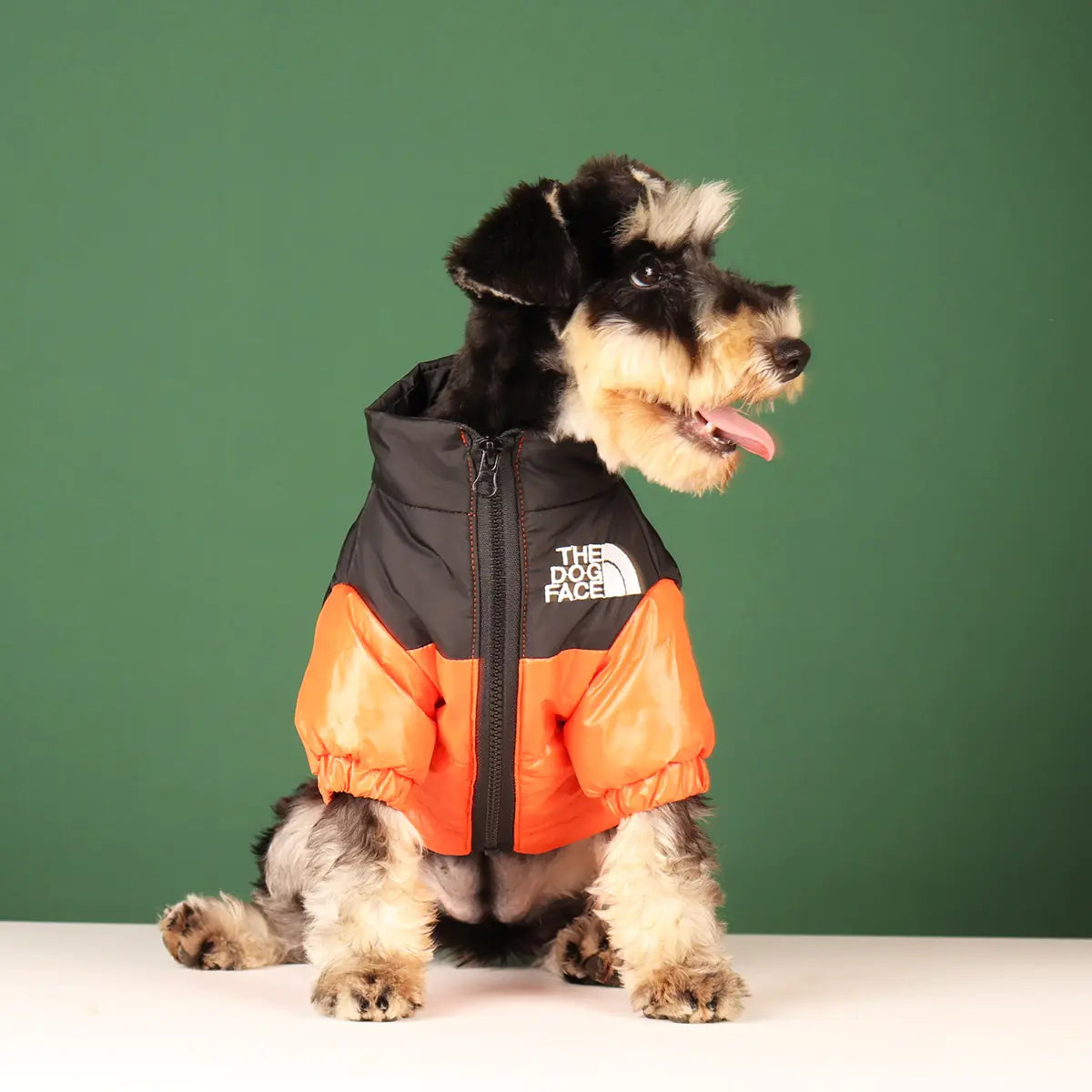 Windproof Dog Jackets