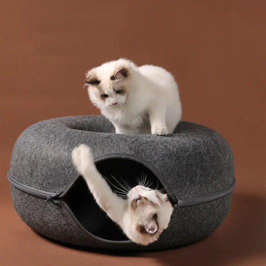 Cat Bed