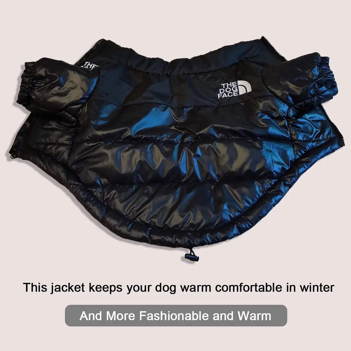 Windproof Dog Jackets