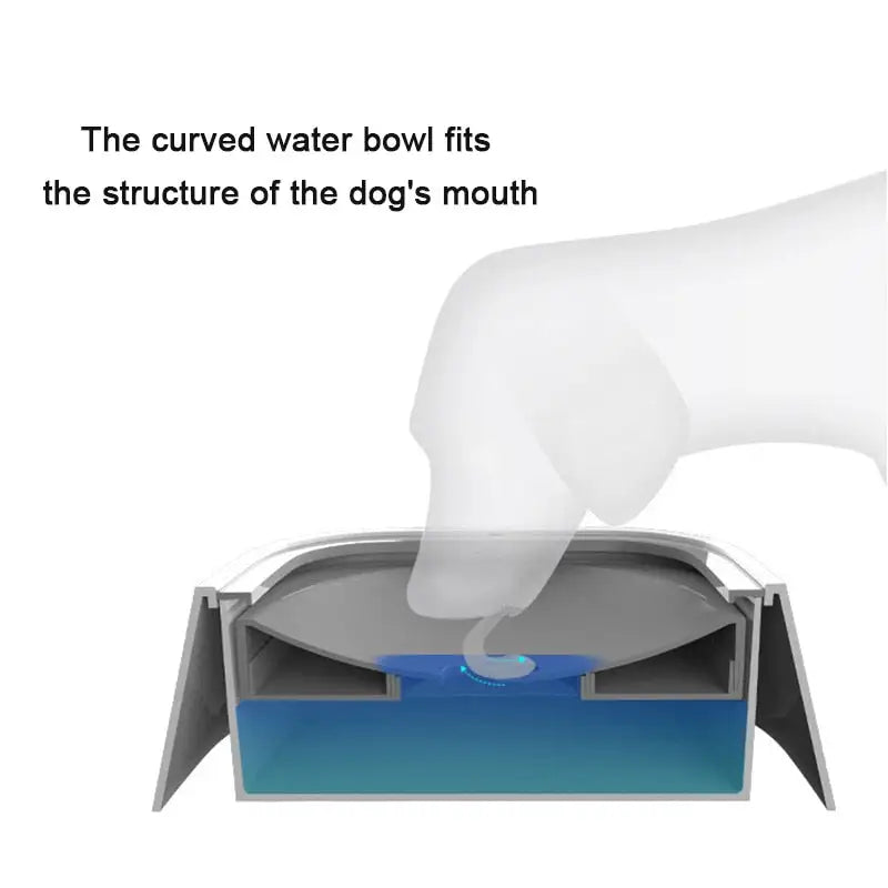 No-Spill Water Bowl